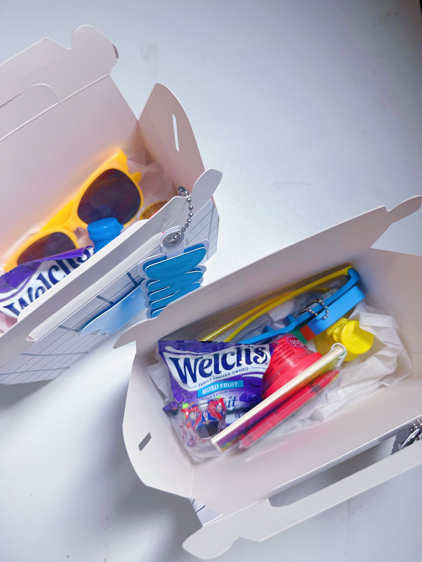 Birthday Gable Boxes Party Favor Bundles with Toys: Custom ANY THEME