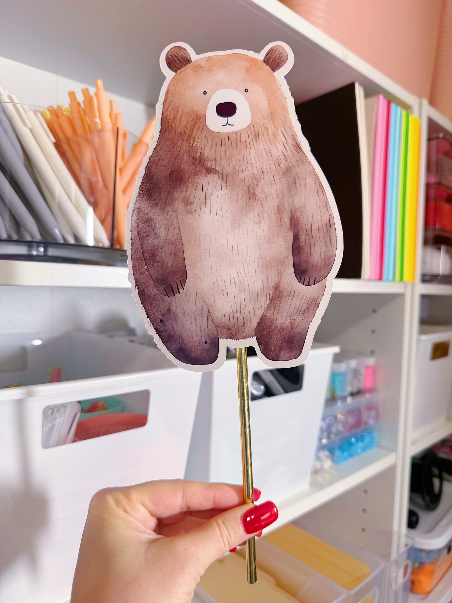 Party Decorations Printed Photo Props: Custom - ANY THEME