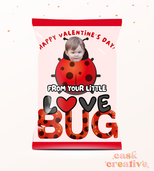 Valentine's Day Chip Bags with Photo Love Bug: Set of 10 Printed Chip Bags Party Favors