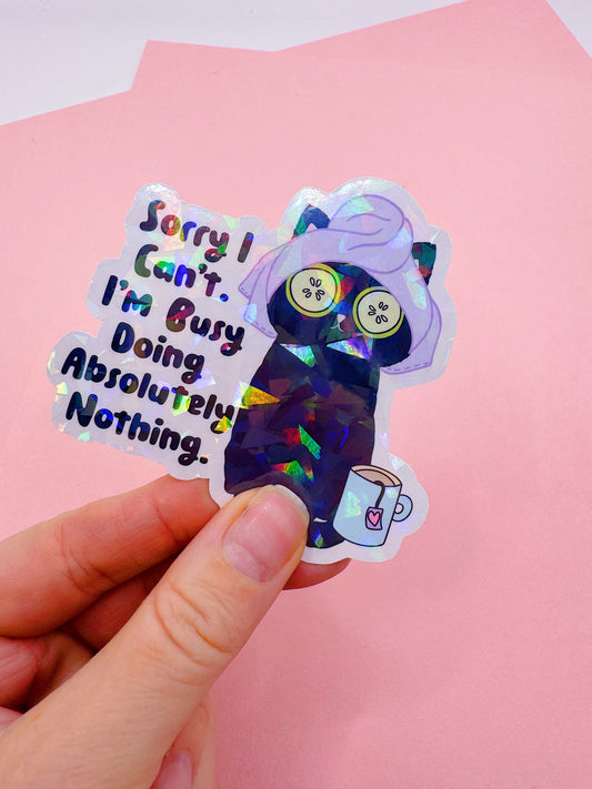 Die Cut Sticker Water Bottle Decals: Funny Sorry I Can't Cat