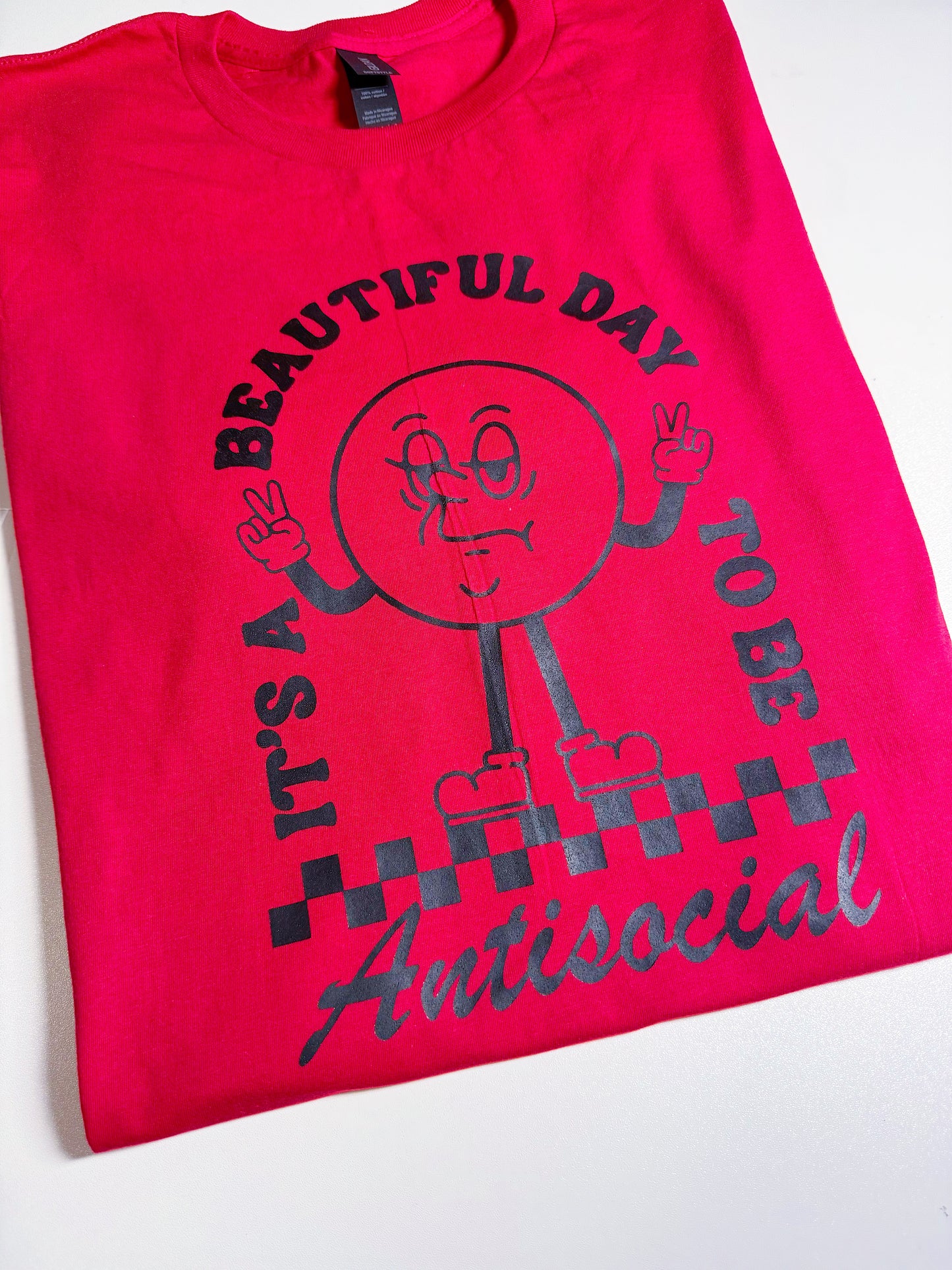 SALE Adult T-shirt It's A Beautiful Day to be Antisocial