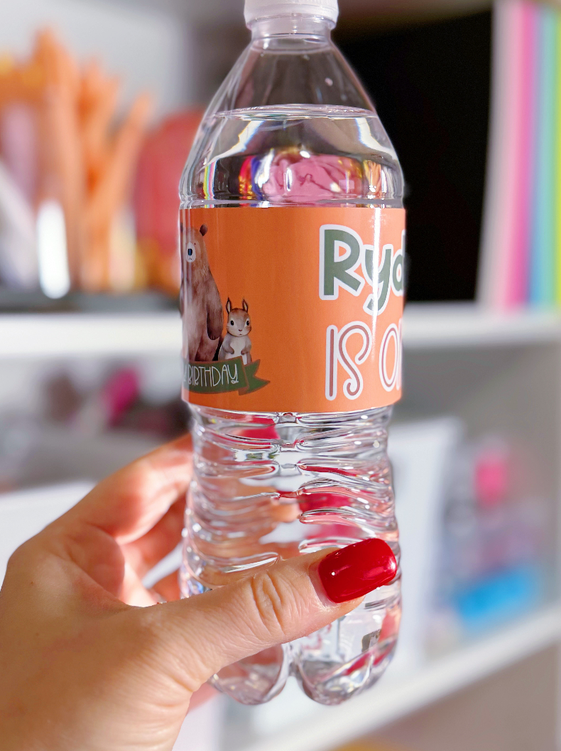 Water Bottle Labels Printed Party Favors: Custom ANY THEME